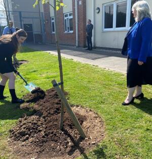 Tree Planting